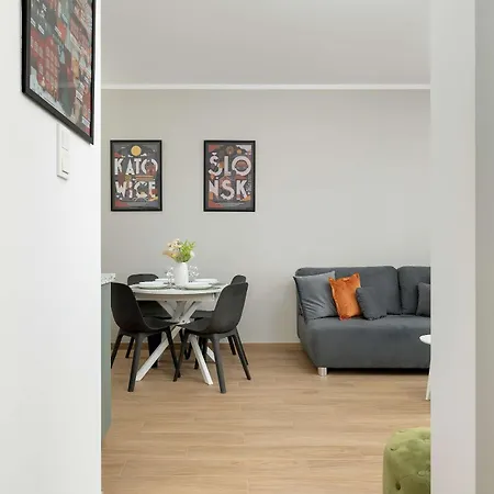 Nowoczesny Z Parkingiem W Atrakcyjnej Lokalizacji Katowic By Renters *