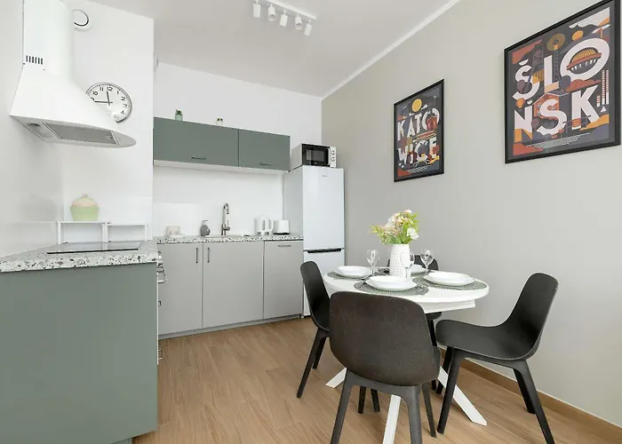 Appartement Nowoczesny Z Parkingiem W Atrakcyjnej Lokalizacji Katowic By Renters *